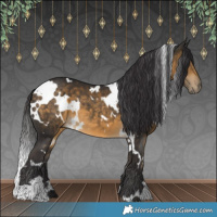 Horse Color:White Spotted Buckskin 