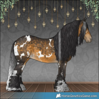 Horse Color:White Spotted Buckskin 