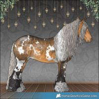 Horse Color:White Spotted Silver Buckskin 