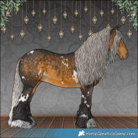 Horse Color:White Spotted Silver Buckskin 