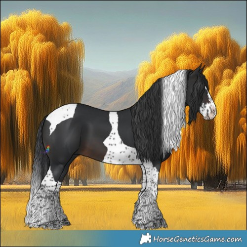 Horse Color:Brown Splash Tobiano