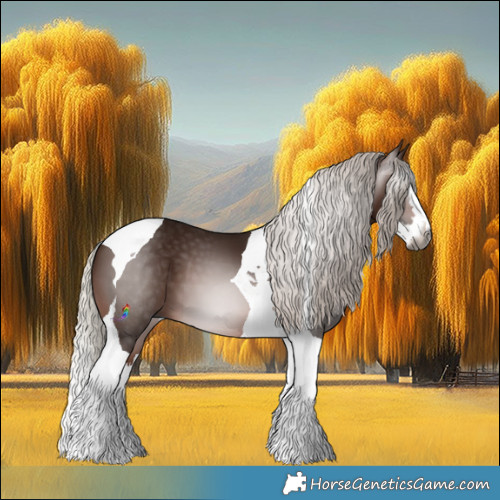 Horse Color:Gray Silver Brown Splash Tobiano 