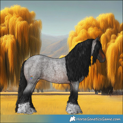 Horse Color:Gray Brown Roan Tobiano