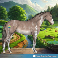Horse Color:Liver Red Dun Mushroom Sabino 