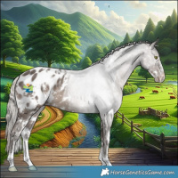 Horse Color:White Spotted Silver Black Sabino Appaloosa Rabicano 