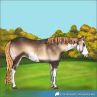Horse Color:Painted White Spotted Liver Red Onyx