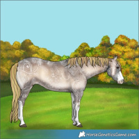 Horse Color:Painted White Spotted Liver Red Onyx Ice