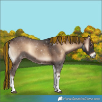 Horse Color:Painted White Spotted Liver Red Onyx 