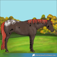 Horse Color:Void Painted White Spotted Liver Chestnut Ice