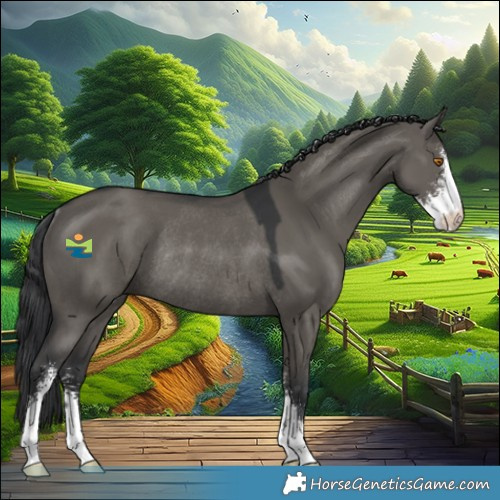 Horse Color:Grullo Sabino Rabicano 