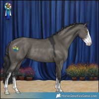 Horse Color:Grullo Sabino Rabicano 