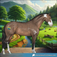 Horse Color:Brown Dun Sabino 