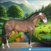 Horse Color:Brown Dun Sabino