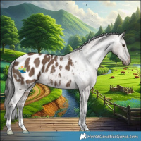 Horse Color:Liver Red Dun Appaloosa Brindle 