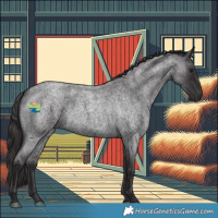 Horse Color:Smoky Blue Roan 