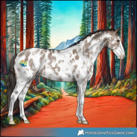 Horse Color:Liver Red Dun Sabino Appaloosa 