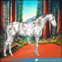 Horse Color:Liver Red Dun Sabino Appaloosa 