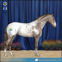Horse Color:Liver Red Dun Snowcap 