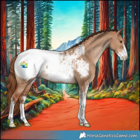 Horse Color:Red Dun Sabino Appaloosa 