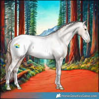 Horse Color:Red Dun Sabino Appaloosa 