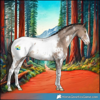Horse Color:Liver Red Dun Sabino Appaloosa