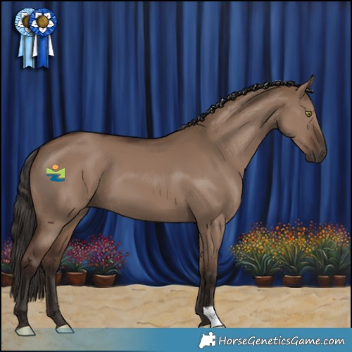 Horse Color:Liver Red Dun 