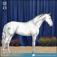 Horse Color:Silver Bay Dun Sabino Varnish 