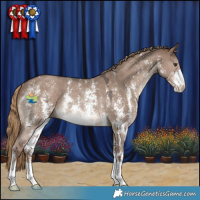 Horse Color:Liver Red Dun Sabino Rabicano 