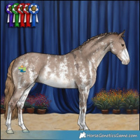 Horse Color:Liver Red Dun Sabino Rabicano 