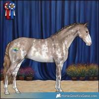 Horse Color:Liver Red Dun Sabino Rabicano 