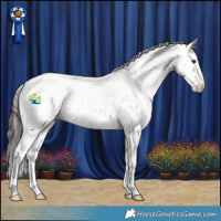 Horse Color:Liver Red Dun Sabino Rabicano 