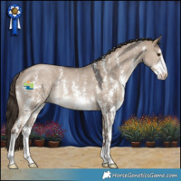 Horse Color:Liver Red Dun Sabino Rabicano 