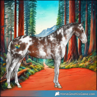 Horse Color:White Spotted Silver Brown Appaloosa 