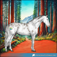 Horse Color:White Spotted Silver Grullo Sabino 