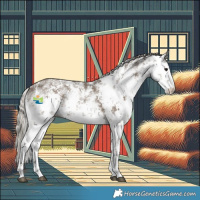 Horse Color:White Spotted Silver Grullo Sabino 