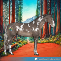 Horse Color:White Spotted Silver Black Sabino 
