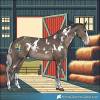 Horse Color:White Spotted Silver Black Sabino 
