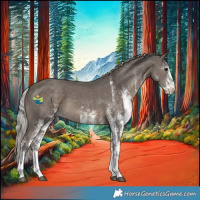 Horse Color:White Spotted Silver Black 