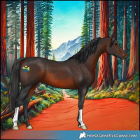 Horse Color:Brown 