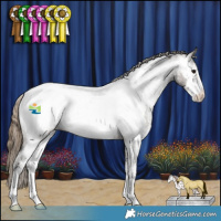 Horse Color:White Spotted Smoky Grullo Near Fewspot 