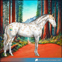 Horse Color:Silver Buckskin Sabino Appaloosa 