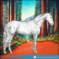 Horse Color:Silver Black Sabino Appaloosa