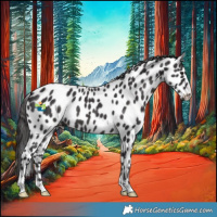 Horse Color:Smoky Black Leopard 