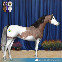 Horse Color:Gray Bay Roan Splash Snowcap