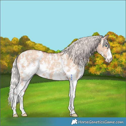 Horse Color:Silver Sable Champagne Dun Sabino 