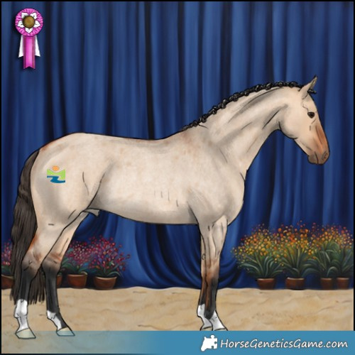 Horse Color:Bay Roan Dun Rabicano 