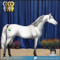 Horse Color:Gray Watercolor Red Ice Roan Splash Appaloosa 