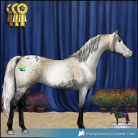 Horse Color:Gray Watercolor Red Ice Roan Splash Appaloosa