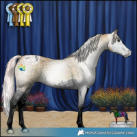 Horse Color:Gray Watercolor Red Ice Roan Splash Appaloosa 