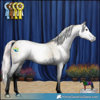 Horse Color:Gray Watercolor Red Ice Roan Splash Appaloosa